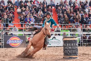 Enjoying the Isanti County Fair during your stay at Country Camping Tent & RV Park